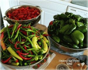 Picked peppers Sorted on the prep table