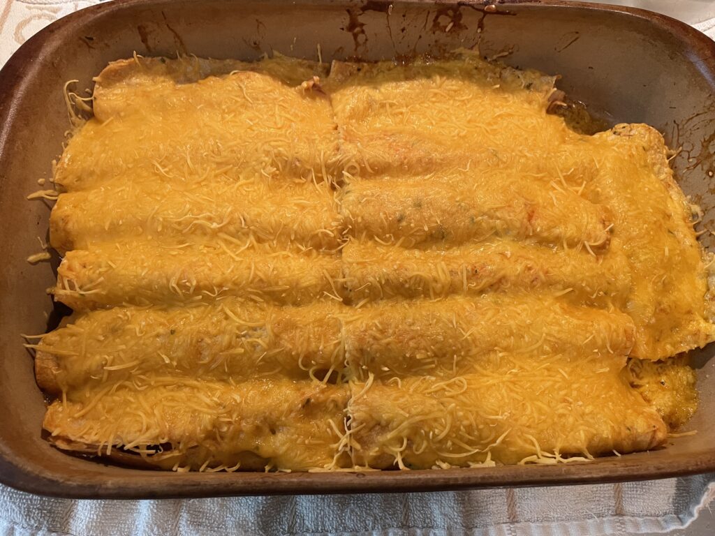 Chicken Enchiladas with cheese melted