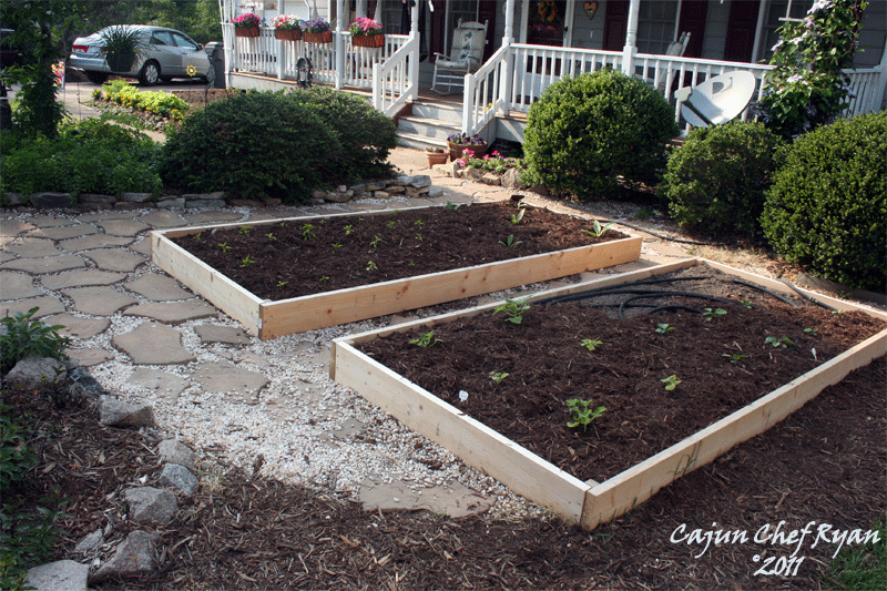 Front yard expanded raised beds