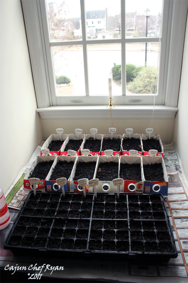 Grow your own seed starting trays