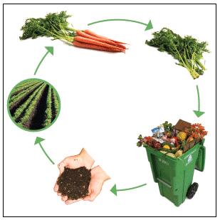 Composting Cycle