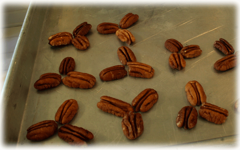 Pecans in place image