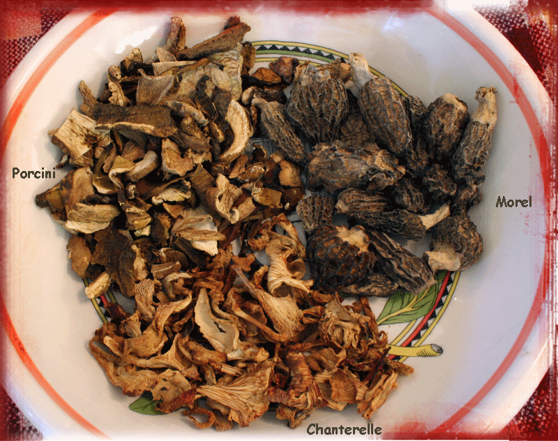 Wild Mushrooms Image